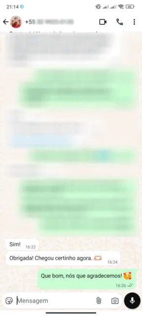 Print WhatsApp — depoimento de aluna da Academia do Bordado Livre